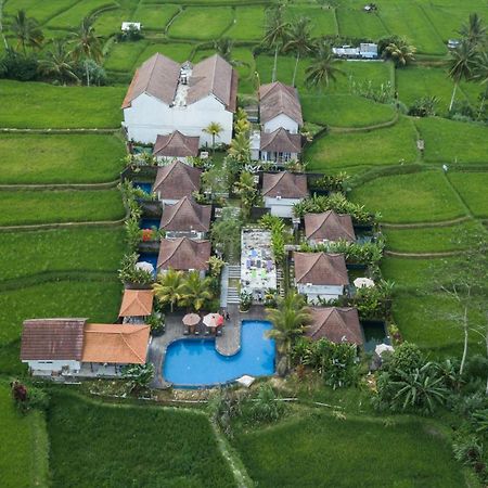 Hotel Tanta Escape Tegallalang  Esterno foto