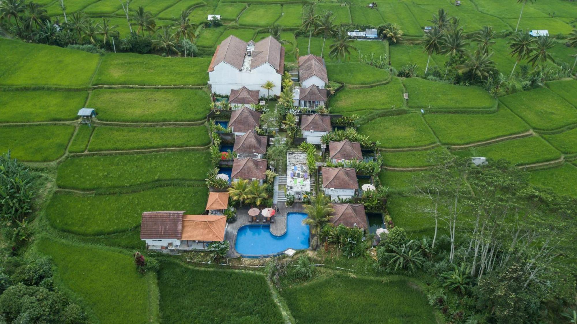Hotel Tanta Escape Tegallalang  Esterno foto