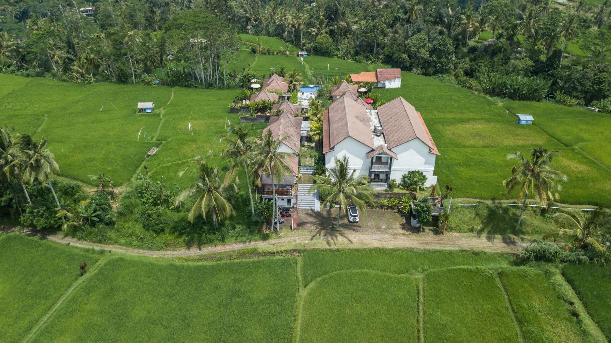 Hotel Tanta Escape Tegallalang  Esterno foto
