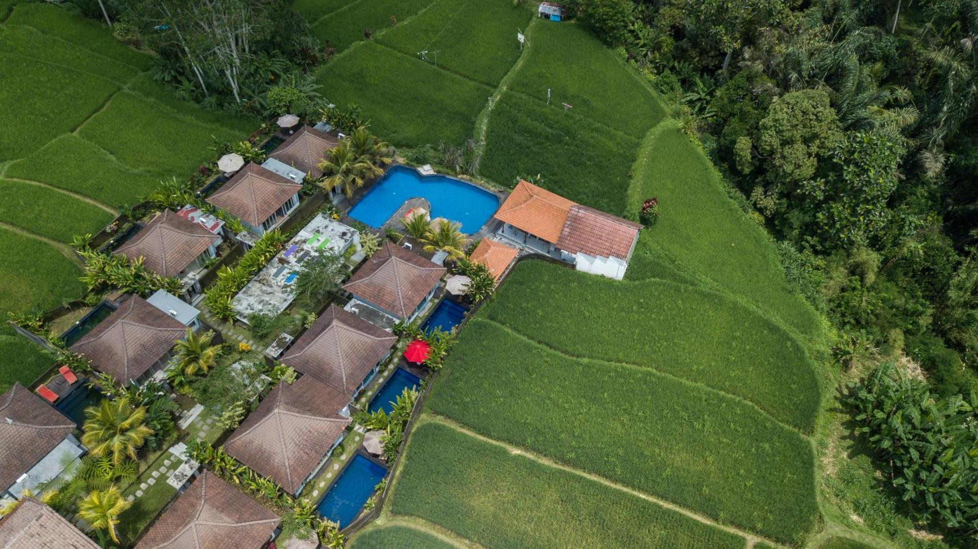 Hotel Tanta Escape Tegallalang  Esterno foto